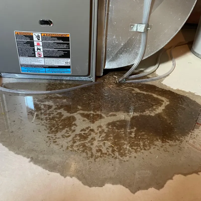 Appliance Leak Cleanup in Park Layne, OH